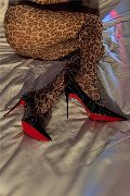 Milano Trans Nicole Andrade 329 89 48 041 foto selfie 1