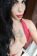Vada Trans Escort Rayla Rios 329 38 77 403 foto selfie 37