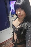 Prato Trans Tain� Oliveira 328 53 82 487 foto selfie 20