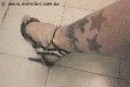 Foto Immagine Suzana Pantera Transescort Alessandria 3929724965 - 61