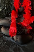 Foto Immagine Tiny Mouse Escort Venezia 3284690312 - 4