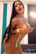 Foto Immagine Wanessa Ambrosio Trans Frosinone 3518069231 - 126